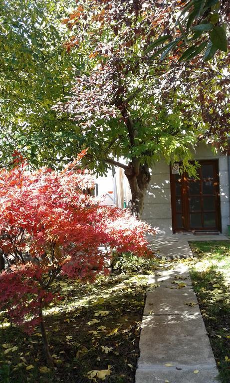 Hostel Oasis Belgrad Zewnętrze zdjęcie