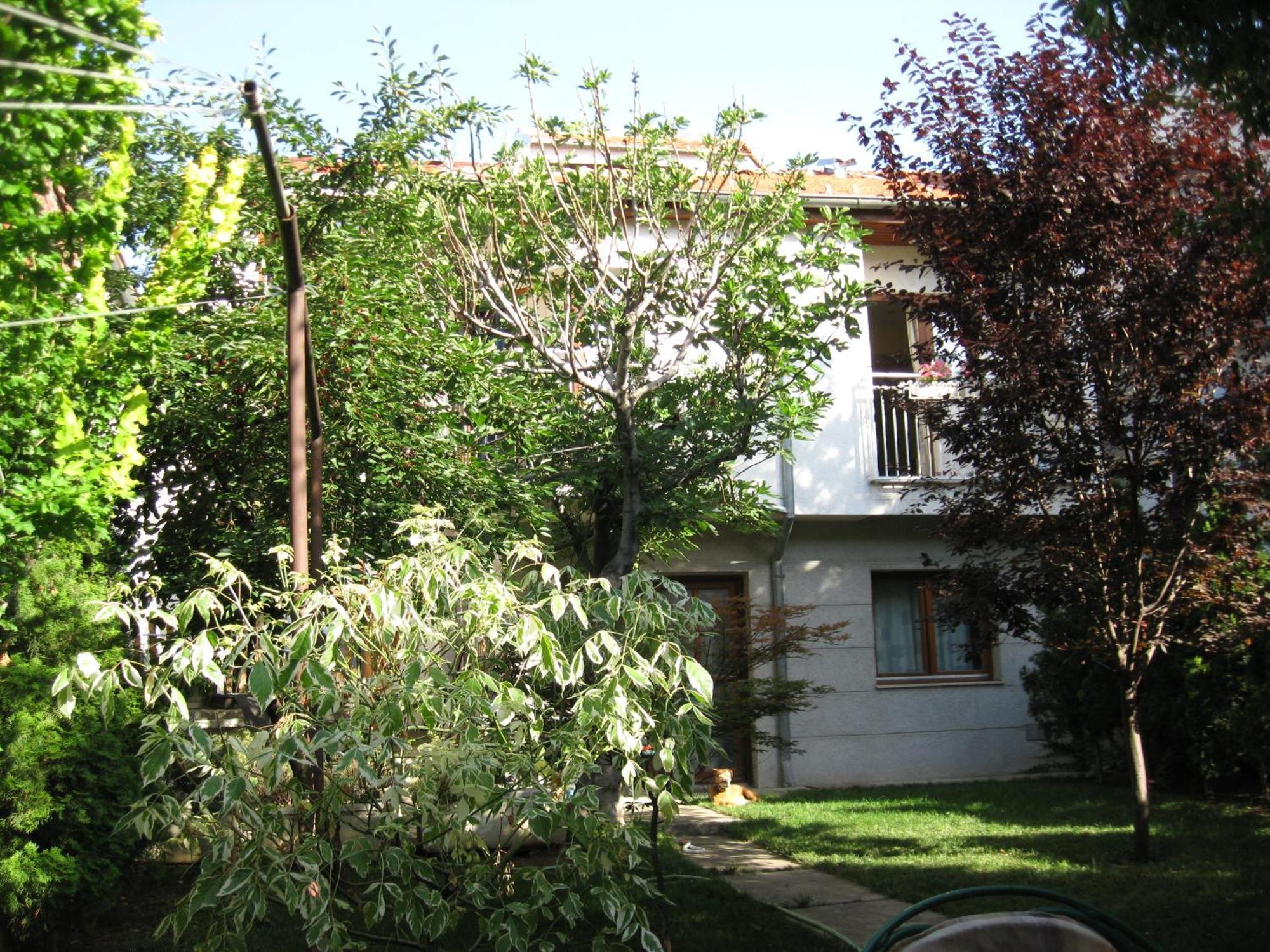 Hostel Oasis Belgrad Zewnętrze zdjęcie