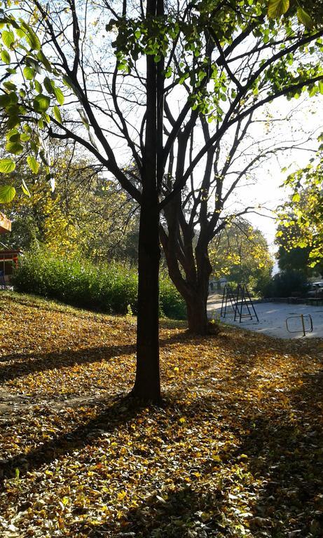 Hostel Oasis Belgrad Zewnętrze zdjęcie