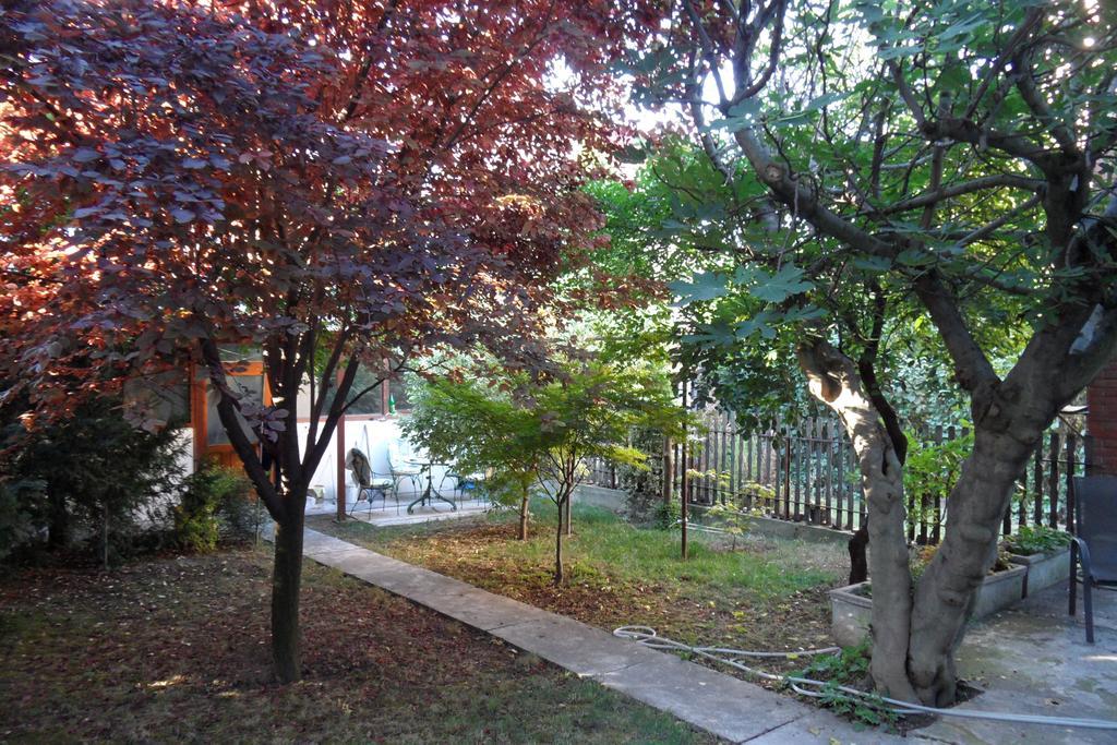Hostel Oasis Belgrad Pokój zdjęcie
